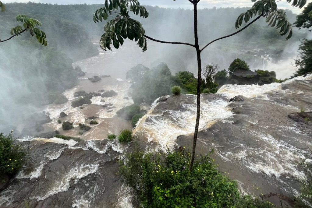Brown river rushing over rocky ledges at the edge of a drop, with a thin tree and misty forest beyond