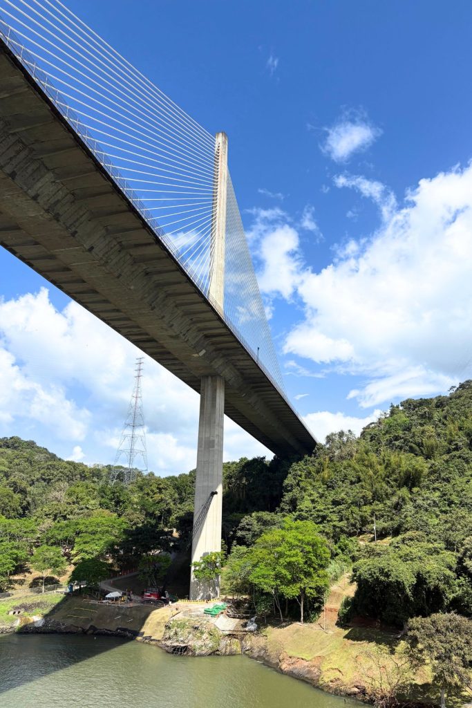 Looking up at a cable-stayed bridge with a tall concrete tower over a wooded hillside and a blue sky