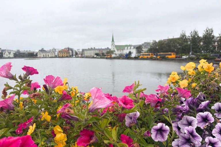 Three Days in Reykjavik
