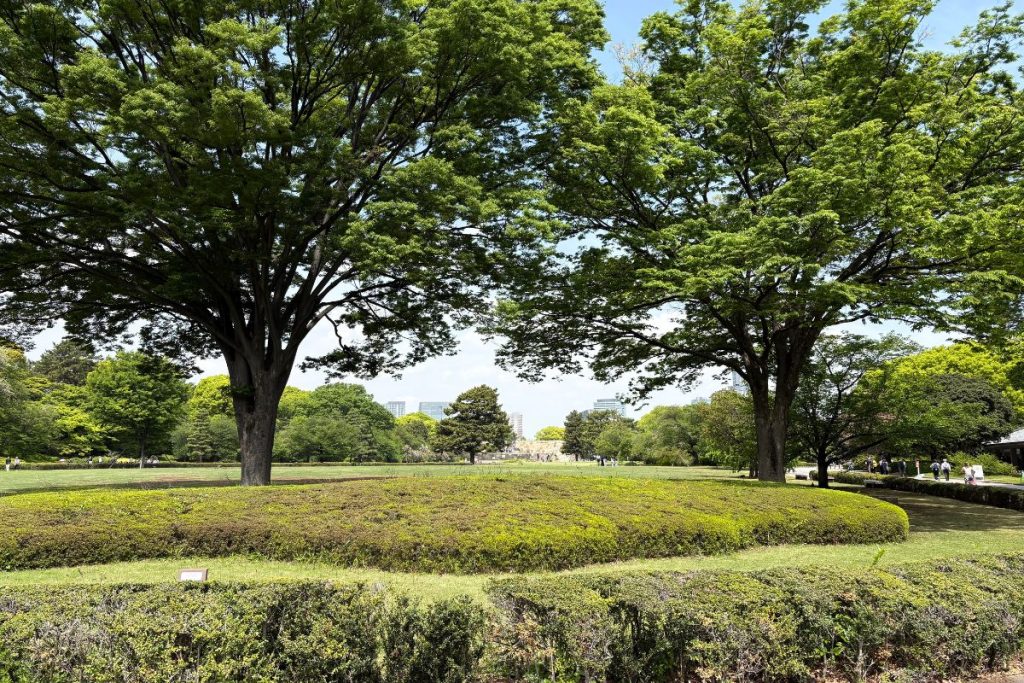 Open lawn and trees in the Honmaru area of Imperial Palace East Gardens