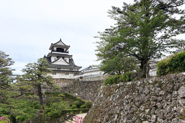 From Crashing Waves to Castle Walls: A Perfect Day in Kochi, Japan