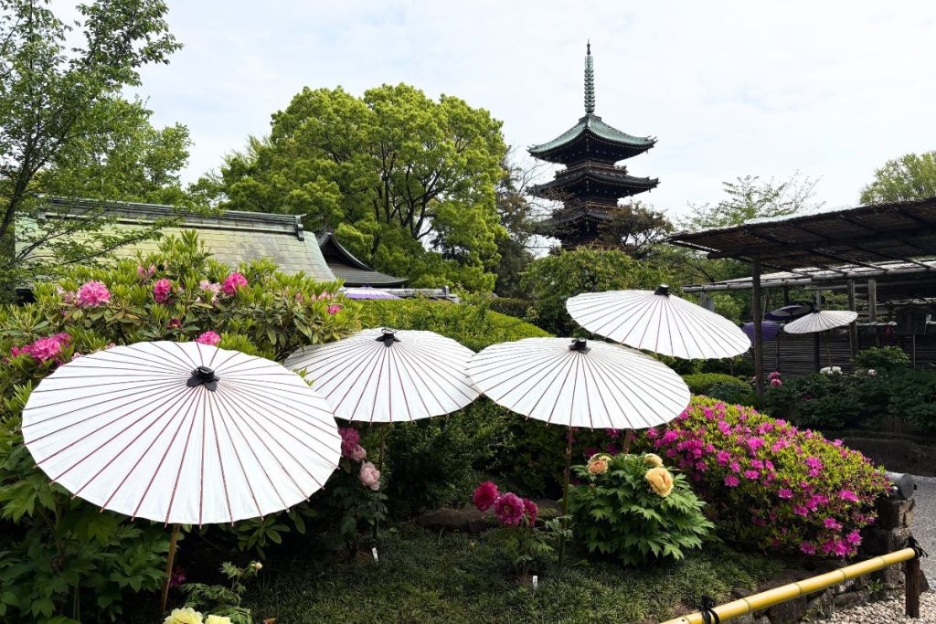 Decorative paper umbrellas with the Kan'ei-ji Five-Storied Pagoda visible in the background