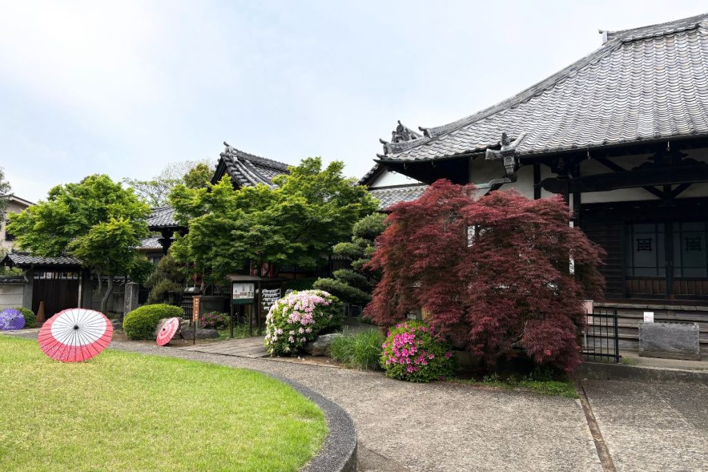 Temple building in Yanaka with a red maple tree and decorative paper umbrellas