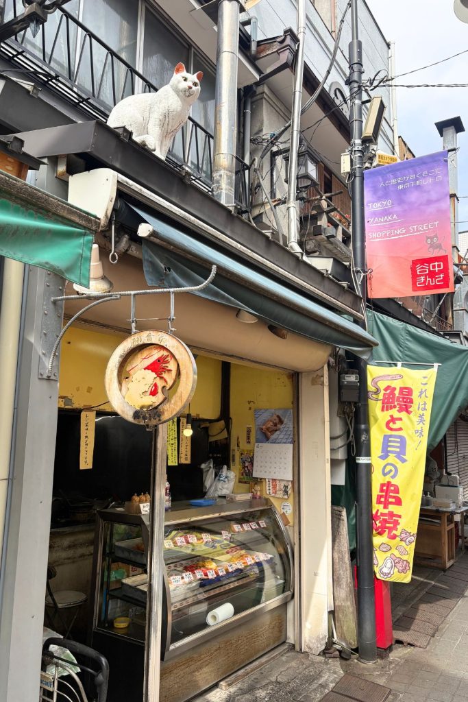 A cat sitting on a shop awning in Yanaka Ginza