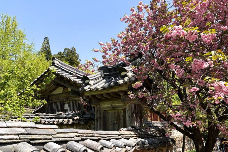 Sip, Stroll, and Bow: A Day at Seonamsa Temple