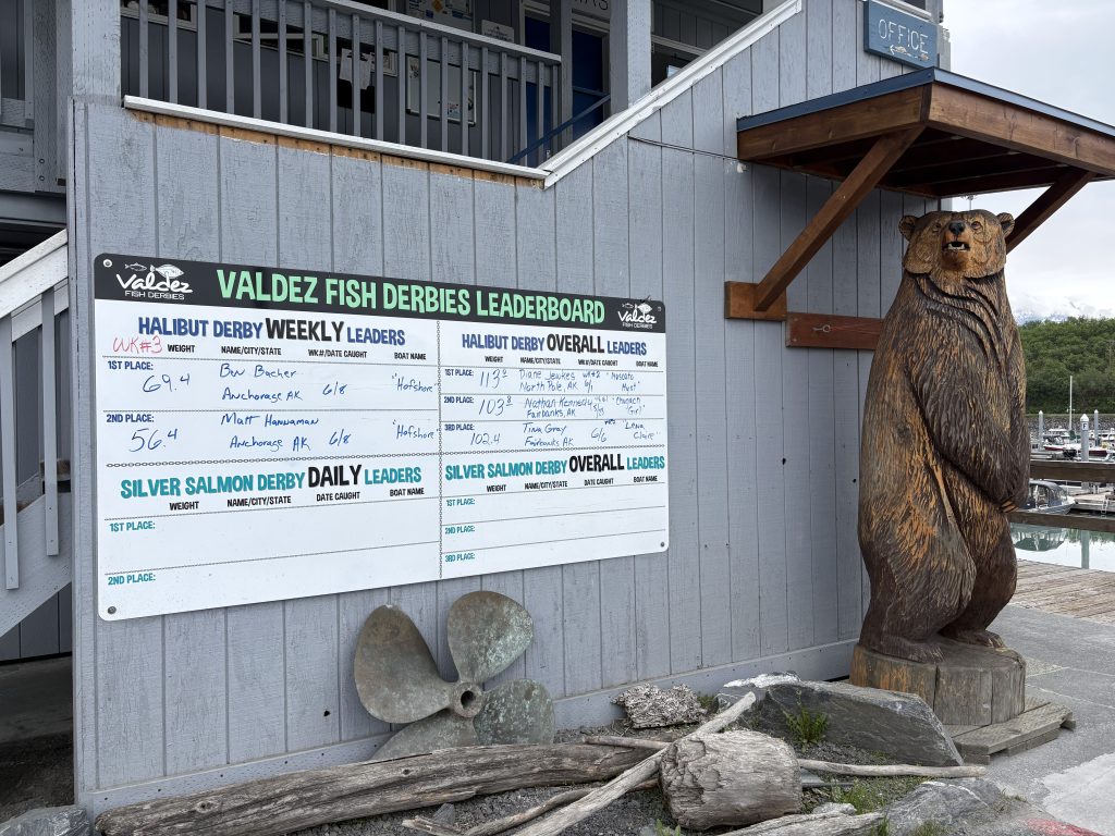Valdez Fish Derbies leaderboard with a carved wooden bear statue at the harbor