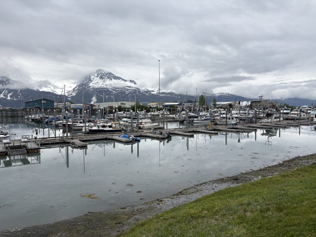 Valdez Alaska harbor at low tide with snow-capped mountains and docked boats