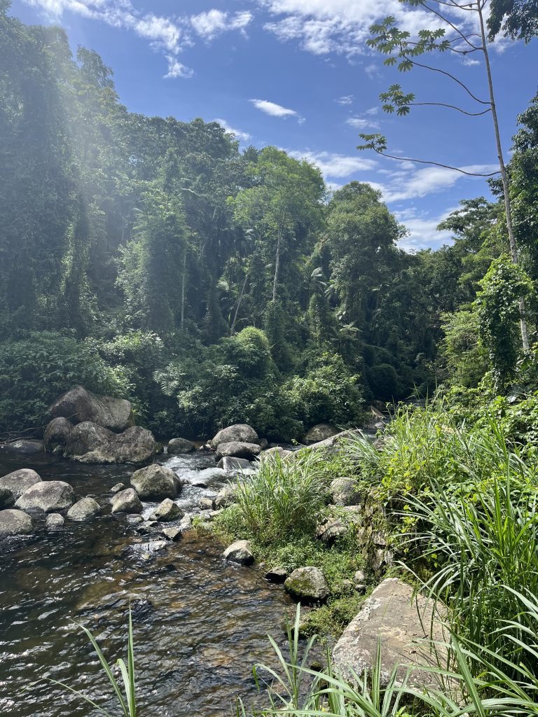 River and boulders along the walking path to Pedra Branca waterfall in Paraty, Brazil