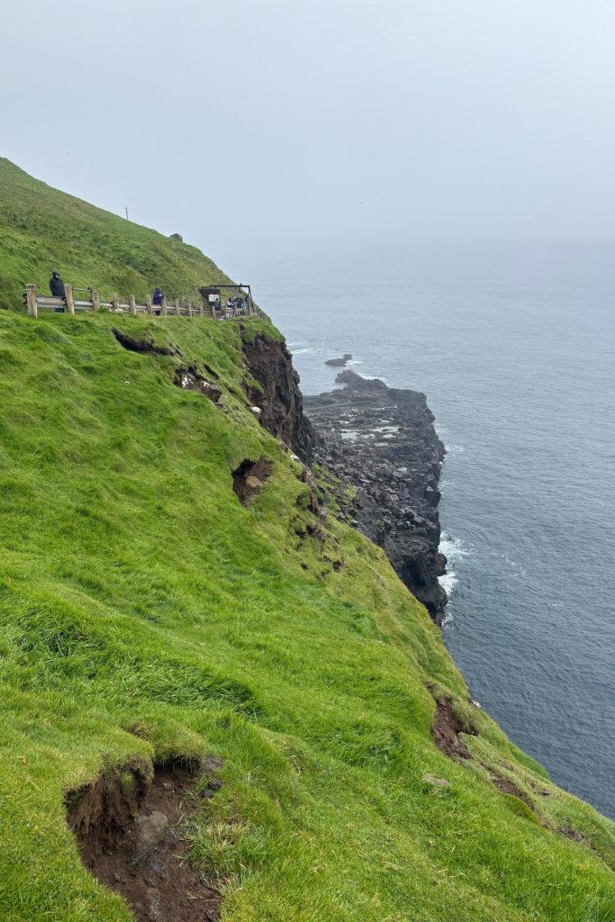 Visitors standing at a railing on a cliff edge overlooking the coastline near Gásadalur