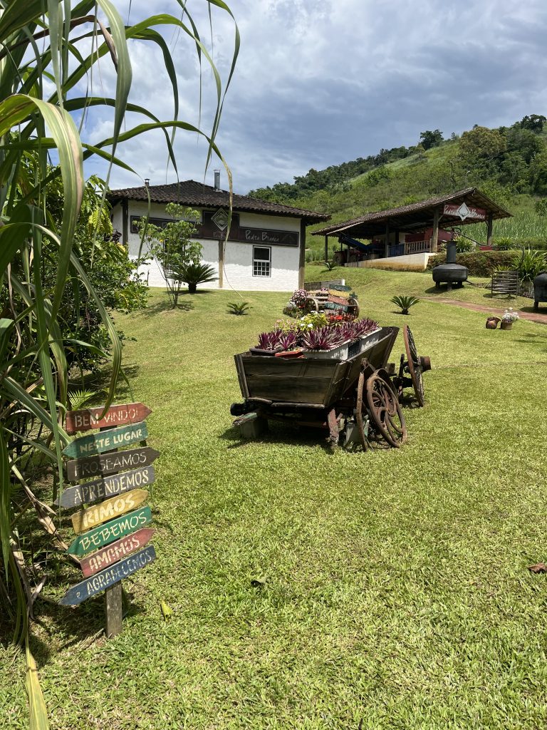 Grounds of Pedra Branca cachaça distillery in Paraty with sugarcane fields and mountains