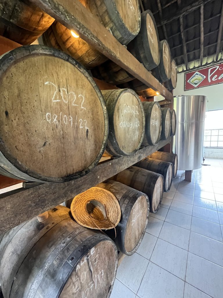 Wooden aging barrels stacked on shelves at Pedra Branca cachaça distillery, hand-dated
