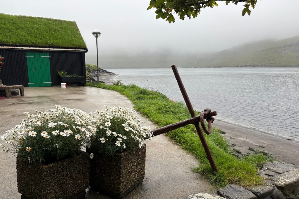 An old iron anchor and a bed of daisies on the shoreline behind Pakkhúsið in Bøur, Faroe Islands
