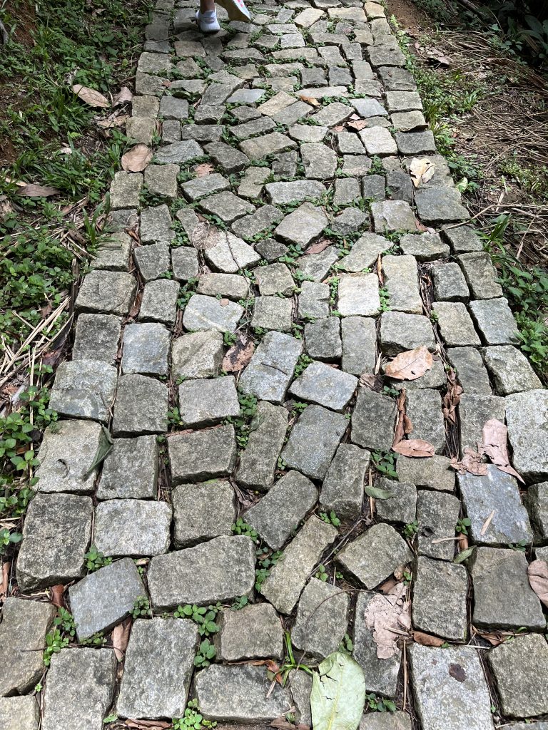 Old cobblestone walkway along the Caminho do Ouro Gold Trail near Paraty