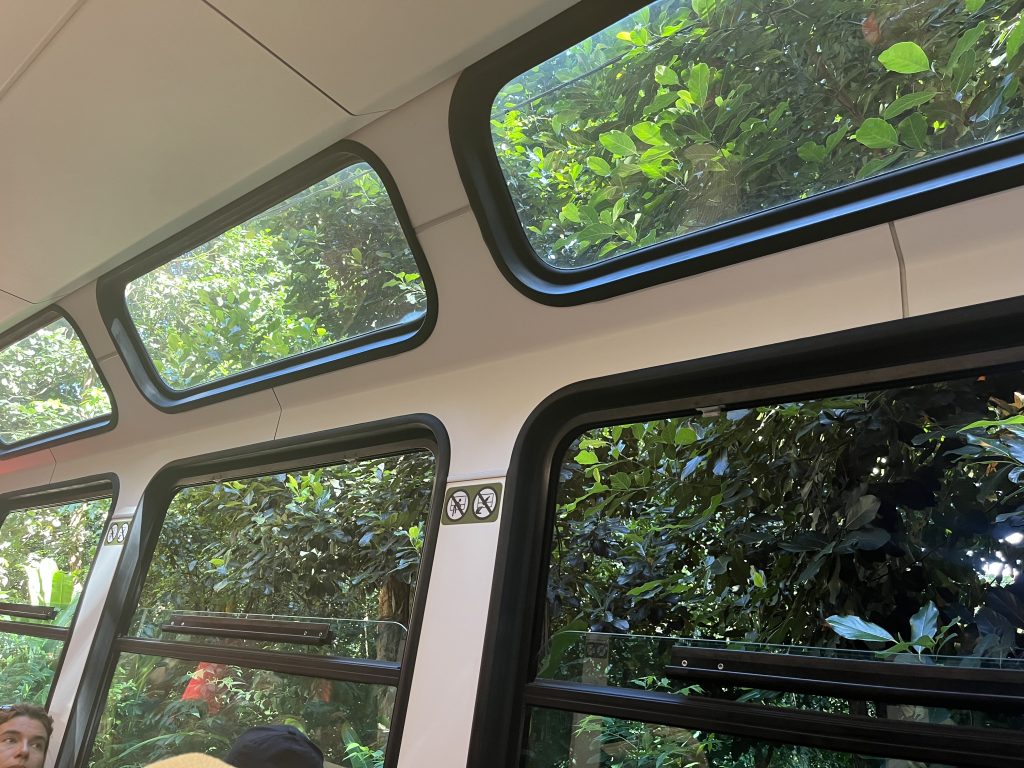 View through the windows of the Corcovado cog train into the dense jungle canopy of Tijuca National Park