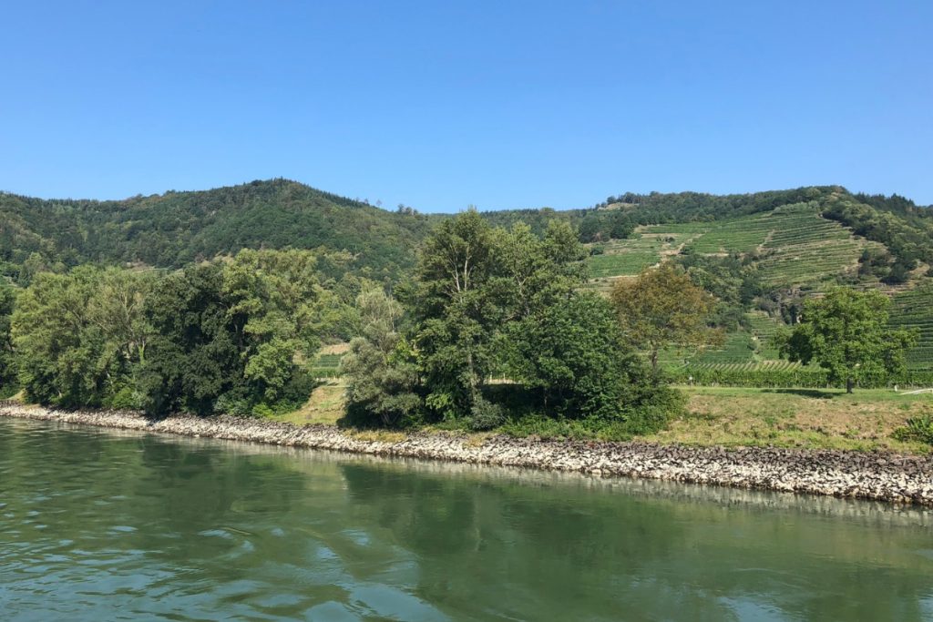 Exposed rocky riverbank and trees along the Danube, with vineyard terraces on the hillside beyond.