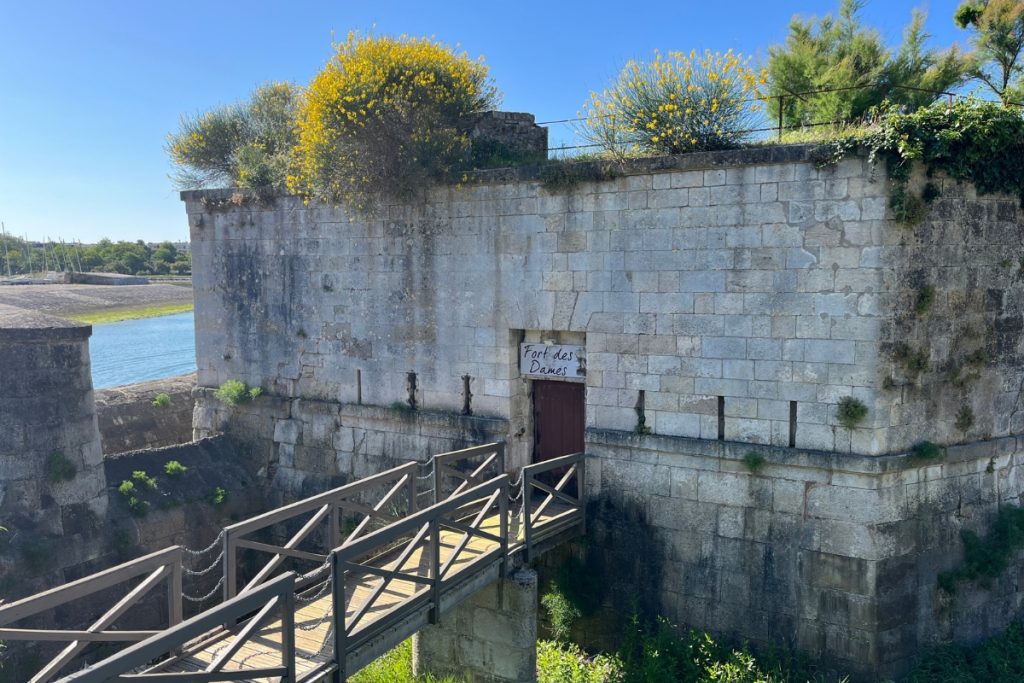 Fort des Dames, a small stone fortification in La Rochelle, France, with yellow flowering bushes on top and a wooden footbridge crossing to its entrance.