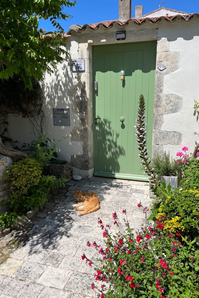 Ginger cat asleep on stone paving in front of a green wooden door surrounded by flowering plants in Saint-Martin-de-Ré, Île de Ré, France.